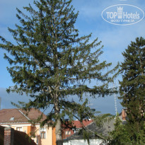 фото из отзыва ID 929513