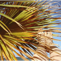 фото из отзыва ID 929530