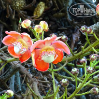 фото из отзыва ID 929619