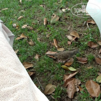 фото из отзыва ID 929803