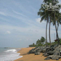 фото из отзыва ID 93086