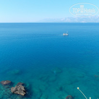 фото из отзыва ID 930201