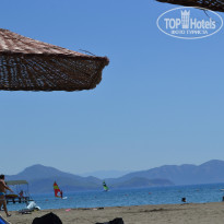 фото из отзыва ID 930349