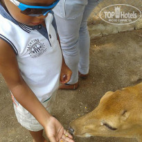 фото из отзыва ID 930542