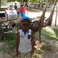 фото из отзыва ID 930542