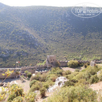 фото из отзыва ID 930602