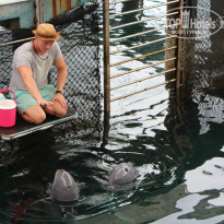 фото из отзыва ID 930610