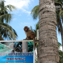 фото из отзыва ID 930610