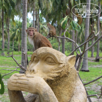 фото из отзыва ID 930610