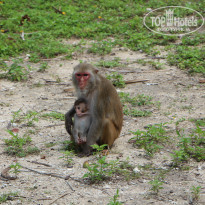 фото из отзыва ID 930610