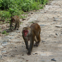 фото из отзыва ID 930610