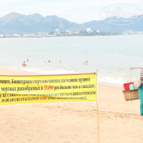 фото из отзыва ID 930610