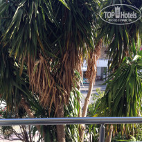 фото из отзыва ID 930805