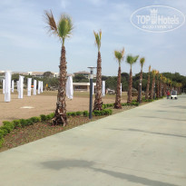 фото из отзыва ID 930988