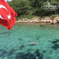 фото из отзыва ID 930993