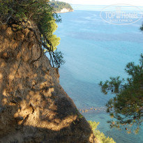 фото из отзыва ID 930765