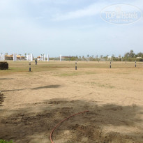 фото из отзыва ID 930988