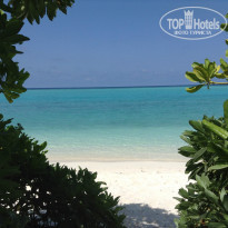 фото из отзыва ID 931082