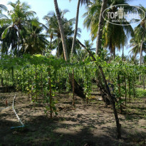 фото из отзыва ID 931082