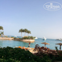 фото из отзыва ID 931159