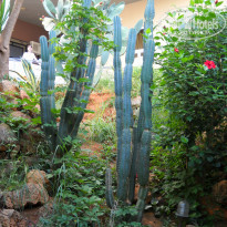 фото из отзыва ID 931464