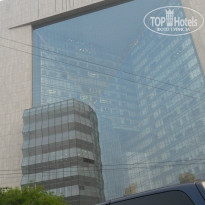 фото из отзыва ID 931756