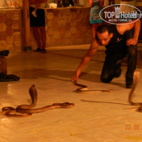 фото из отзыва ID 931841