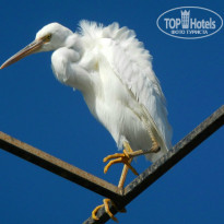 фото из отзыва ID 931443