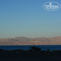 фото из отзыва ID 931443