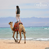 фото из отзыва ID 931443