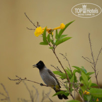 фото из отзыва ID 931443