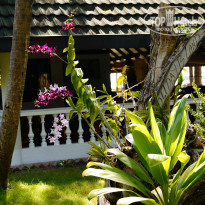 фото из отзыва ID 931216