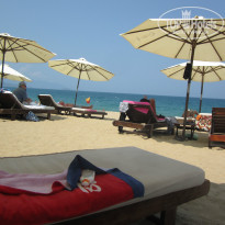 фото из отзыва ID 931228