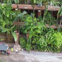 фото из отзыва ID 932180