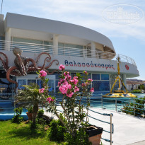 фото из отзыва ID 932082