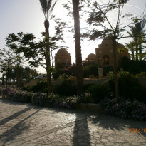 фото из отзыва ID 932595