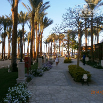 фото из отзыва ID 932595