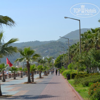 фото из отзыва ID 932625