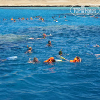 фото из отзыва ID 932799