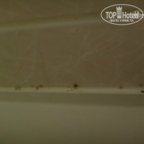 фото из отзыва ID 932922