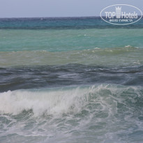 фото из отзыва ID 932948