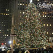 фото из отзыва ID 932810