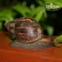 фото из отзыва ID 933048