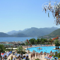 фото из отзыва ID 933058