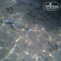 фото из отзыва ID 934100