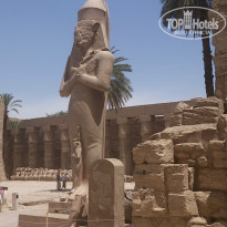 фото из отзыва ID 934100