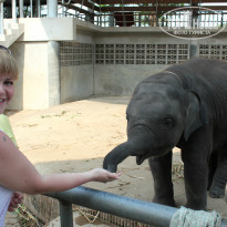 фото из отзыва ID 934152