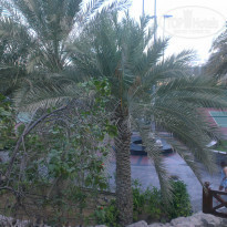 фото из отзыва ID 934371