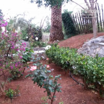 фото из отзыва ID 934370