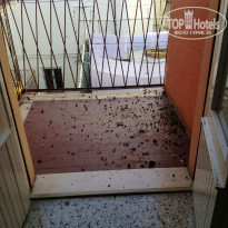 фото из отзыва ID 934206